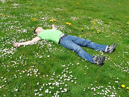 Ein Mann liegt entspannt auf einer grünen Wiese voller Gänseblümchen und blickt in den Himmel.