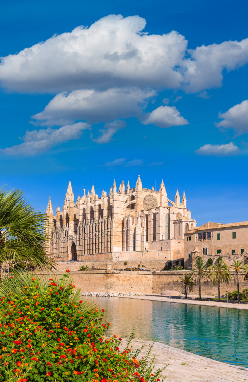 Kathedrale La Seu in Palma de Mallorca bei blauem Himmel mit Palmen, Blumen und Wasser im Vordergrund