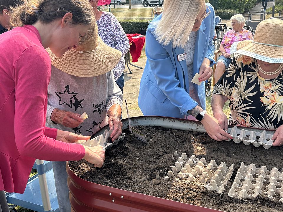Mehrere Frauen unterschiedlichen Alters bepflanzen gemeinsam ein Hochbeet mit Erde und Setzformen aus Eierkarton. Die Szene spielt sich bei sonnigem Wetter draußen ab, umgeben von weiteren Teilnehmenden.