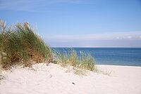 Sanddüne mit Strandhafer an einem weißen Sandstrand auf Sylt, dahinter das blaue Meer unter wolkenlosem Himmel.