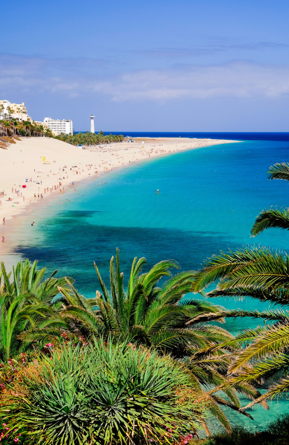 Blick auf einen Strand mit weißem Sand und türkis-blauem Wasser auf Fuerteventura. 